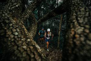 BIB: 
                            <button type="button" onclick="openModal(25679923)" class="btn btn-primary btn-sm float-right btn-popup" data-toggle="modal" data-target=".modal-high-quality">
                        <i class="fas fa-shopping-cart"></i> Add to Cart
                    </button>
                                            <button type="button" onclick="isThisMe(25679923, true)" class="btn btn-success btn-sm float-right btn-popup btn-isme hidden" data-toggle="tooltip" data-placement="bottom" title="นี่คือรูปของคุณใช่ไหม คลิกที่นี่เพื่อเอาเข้าอัลบั้ม">
                        <i class="fas fa-plus"></i> Add to album
                    </button>
                    <button type="button" onclick="isThisMe(25679923, false)" class="btn btn-warning btn-sm float-right btn-popup btn-isnotme hidden">
                        <i class="fas fa-ban"></i> Remove from album
                    </button>